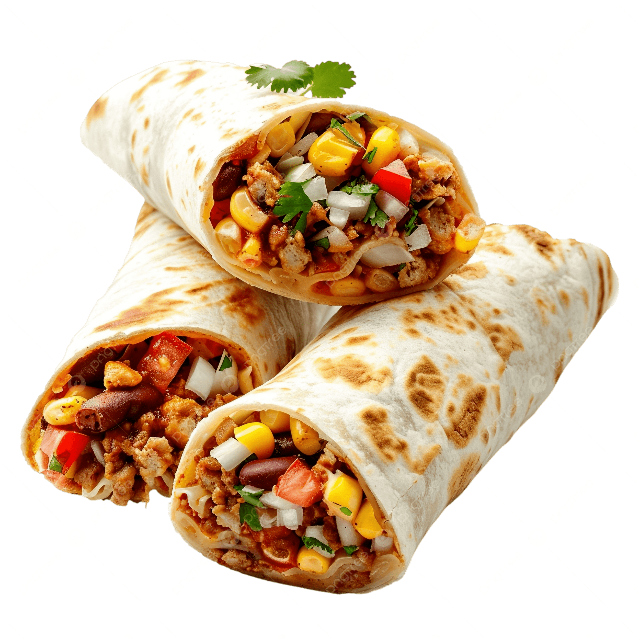 BURRITO DE POLLO